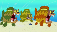 Un grupo de osos marinos.