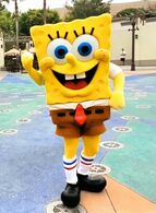 El personaje actual disfrazado de Bob Esponja, usualmente visto en parques temáticos, eventos en centros comerciales y desfiles