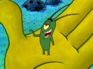 Plankton