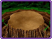 DHR Stage - Giant Stump
