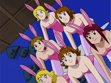 BunnyGirls