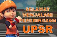 UPSR