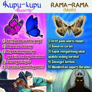 Rujukan macam kupu-kupu