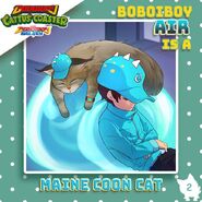 BoBoiBoy Air is a Maine Coon Cat