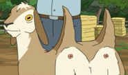 Double Butt in "Stand by Gene."
