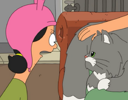 My cat channeling Louise Belcher : r/BobsBurgers