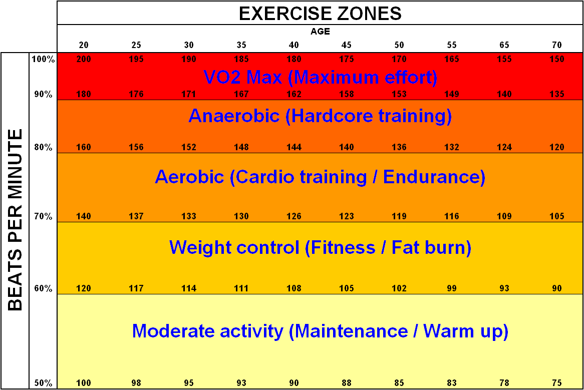 Aerobic Fitness  Aerobic vs Anaerobic Exercise