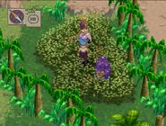 The Earth Dragon Crystal, hidden inside the thicket on Saldine Island.