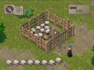 Coop minigame, now with wild pigs and a mother pig.