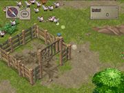 Pauk chicken chase