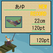 Sport 08r.gif (22 KB)