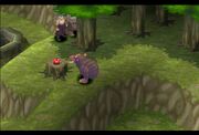 KWoods Animal hunt