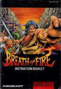 SNES instruction booklet.