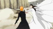 Ichigo vs