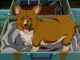 Ein-0