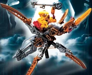 Jaller ujeżdżający ptaka Gukko