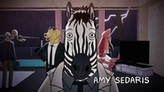 BoBo the Angsty Zebra intro 13