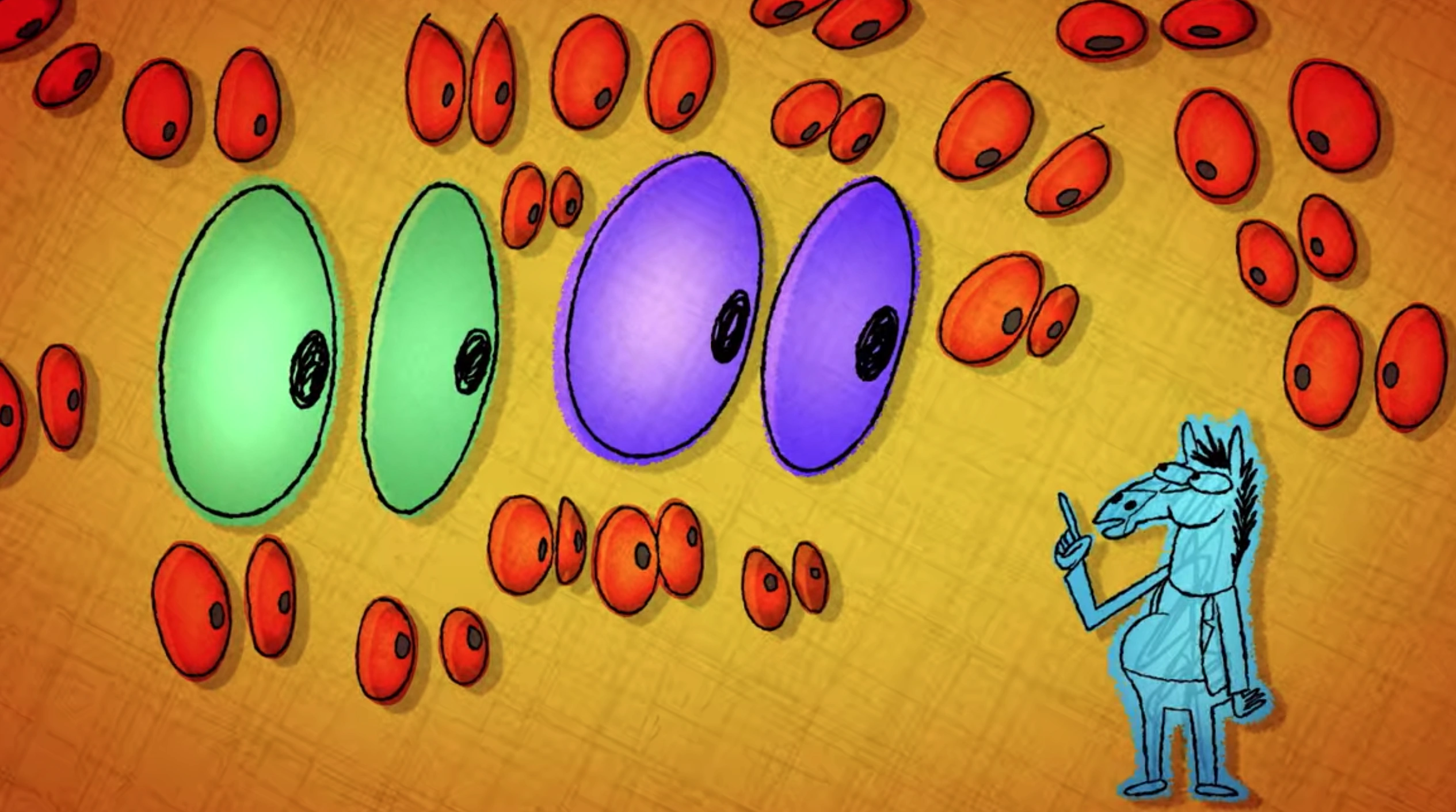 Stupid Piece Of Sh T Bojack Horseman Wiki Fandom