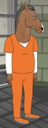 Prison jumpsuit, Nice While It Lasted