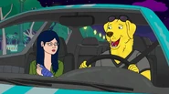 Diane and Mr. Peanutbutter discuss their options