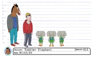 Toddler Elephant