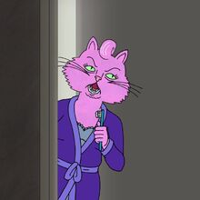 Princess Carolyn Gallery Bojack Horseman Wiki Fandom Hd wallpapers and background images. princess carolyn gallery bojack