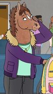 Purple jacket worn over her normal outfit, seen in What Time Is It Right Now, The Face of Depression, and Intermediate Scene Study w/ BoJack Horseman