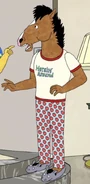Horsin' Around T-shirt and pajamas 1993, Mr. Peanutbutter's Boos