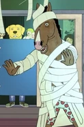 Toilet paper mummy, Mr. Peanutbutter's Boos