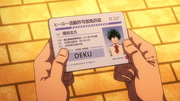 Provisional Hero License