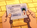 Provisional Hero License