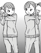 Feathers in the manga.