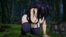 Midnight is severely wounded