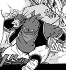 Robber Villain Arrested