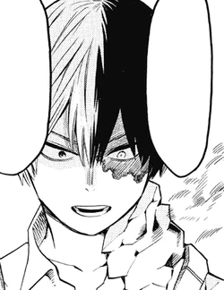 Shoto Todoroki/Image Gallery | My Hero Academia Wiki | Fandom