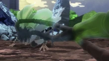 Octopus Mirage (Anime)