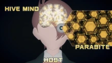 A representation of the bees' hive mind.