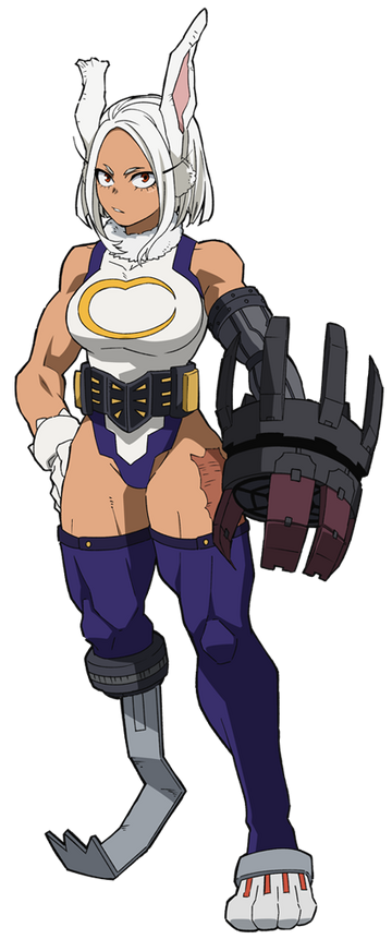 Bunny girl my hero deals