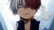 Shoto suffering from frostbite.