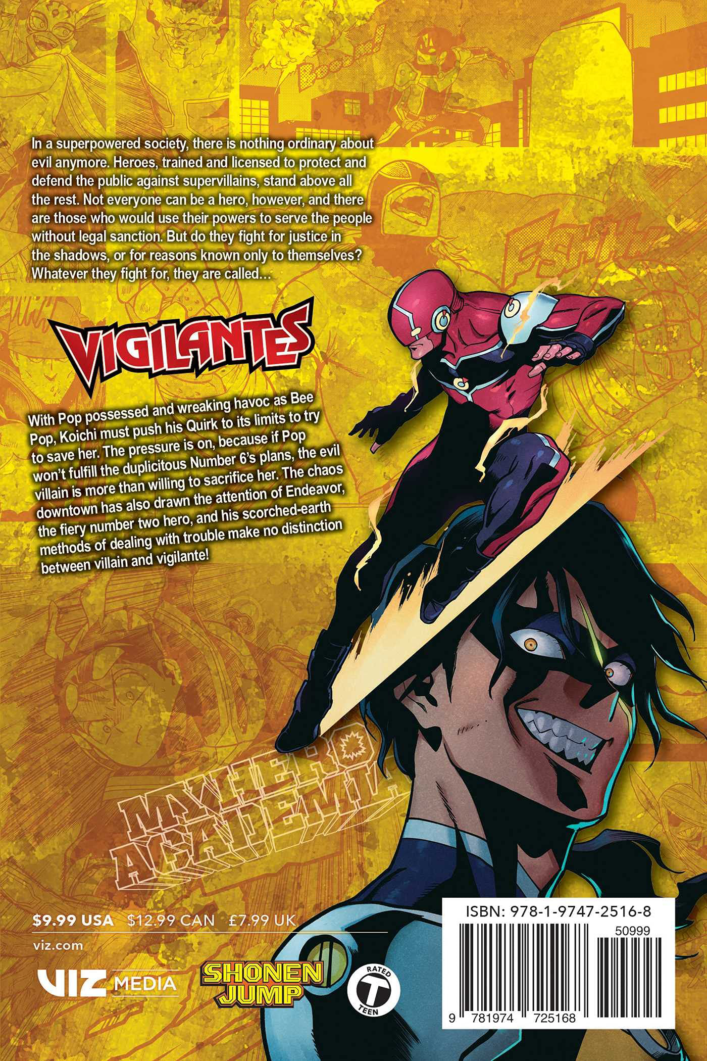 Livro - Vigilante My Hero Academia Illegals Vol. 11 - Revista HQ - Magazine  Luiza