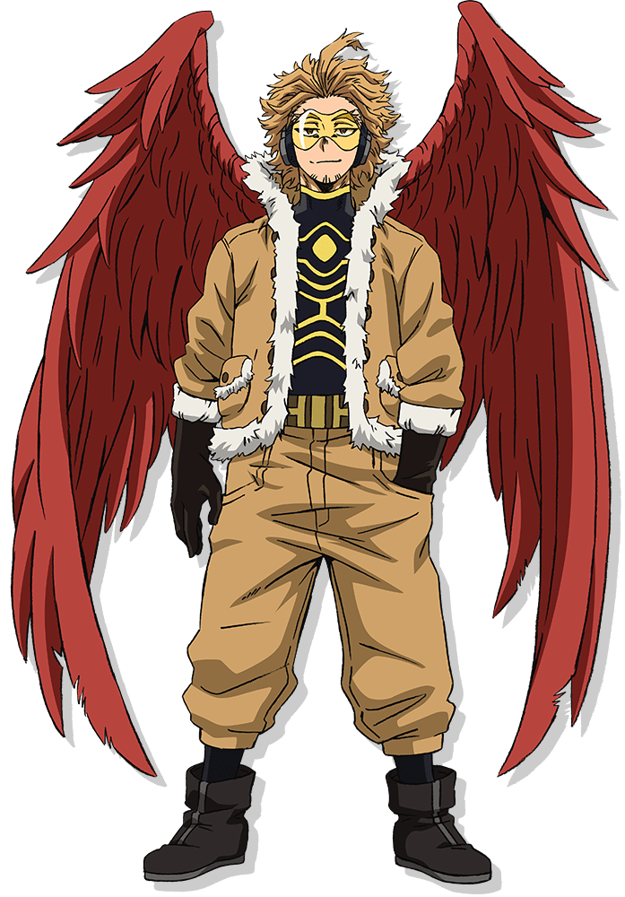 Pin by Lze DRB on мимими  Hawk My hero academia episodes Cute anime  character