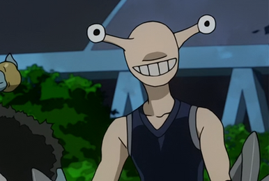 Taka | One Piece Wiki | Fandom