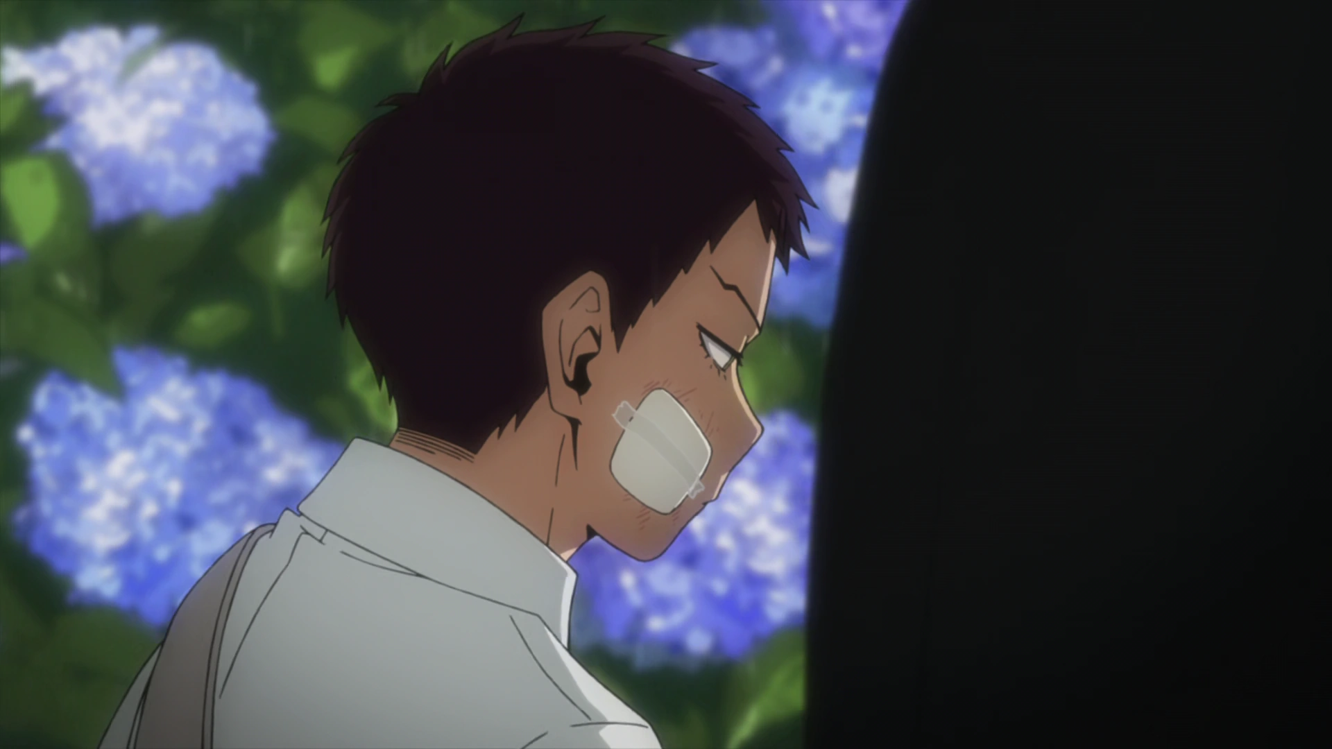 WONDER FULL LIFE×chisaki (Master) Type A WONDER FULL LIFE×chisaki (Master) TypeBKai Chisaki/Synopsis | My