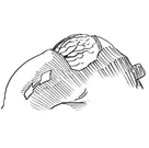 Eleph