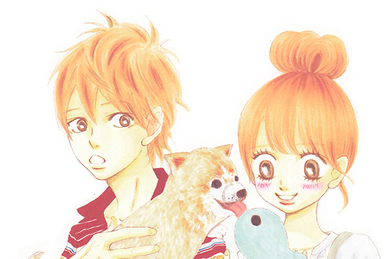 nanaです Nana Yamamoto | Bokura Ga Ita Wiki | Fandom
