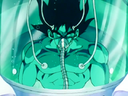 Bardock recuperant-se