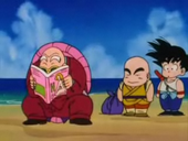 Roshi llegint revistes