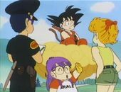 Akane, Taro, Arale i Goku