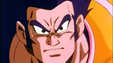 Paragus jove