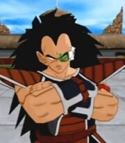 Raditz Budokai Tenkaichi